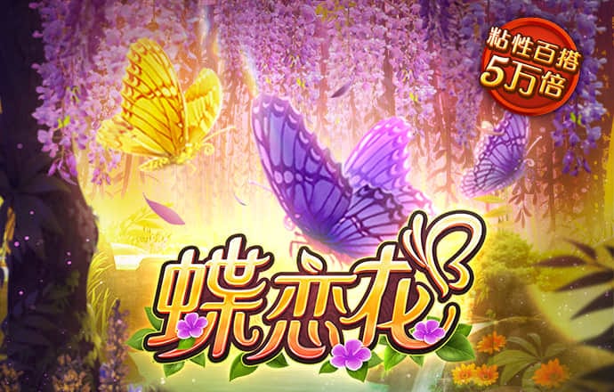 港澳宝典11133cm资料查询